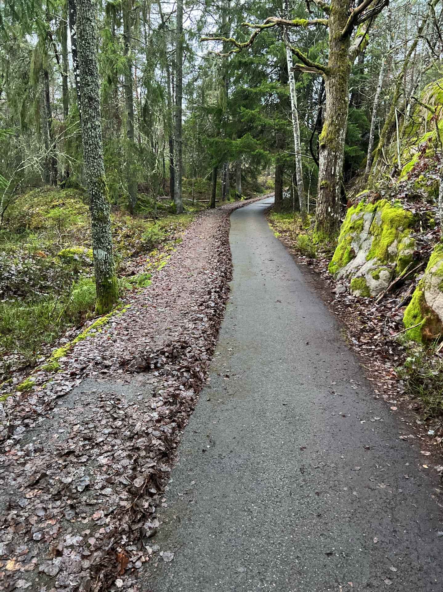 Vägarbete & Asfalt